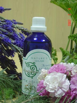 檸檬100ml